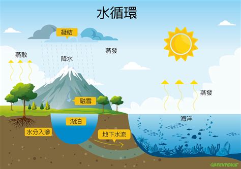 水的形狀|水的三態：固態、液態、氣態 